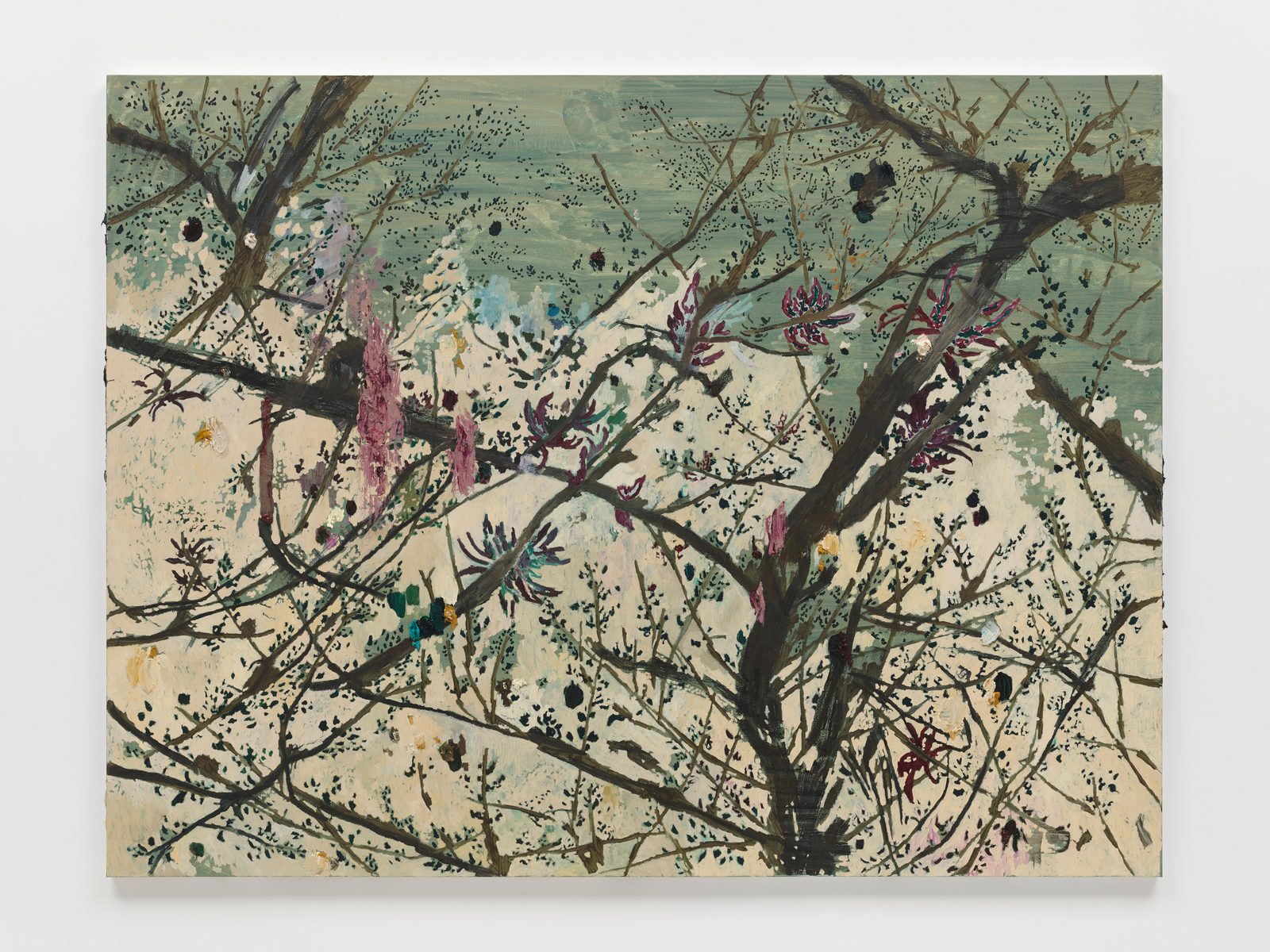 마리나 라인간츠, Bromélia Caranguejo. 출처: 화이트 큐브